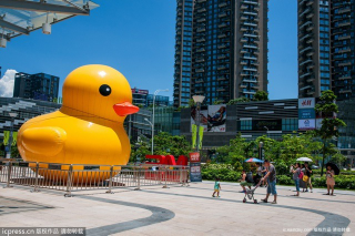 Illustration for article titled In China, There Are Too Many Giant Rubber Duck Rip-Offs